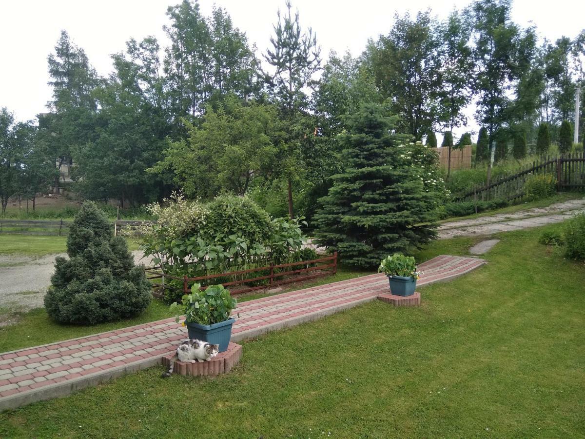 Apartament Widok Czarna Gora Exterior photo