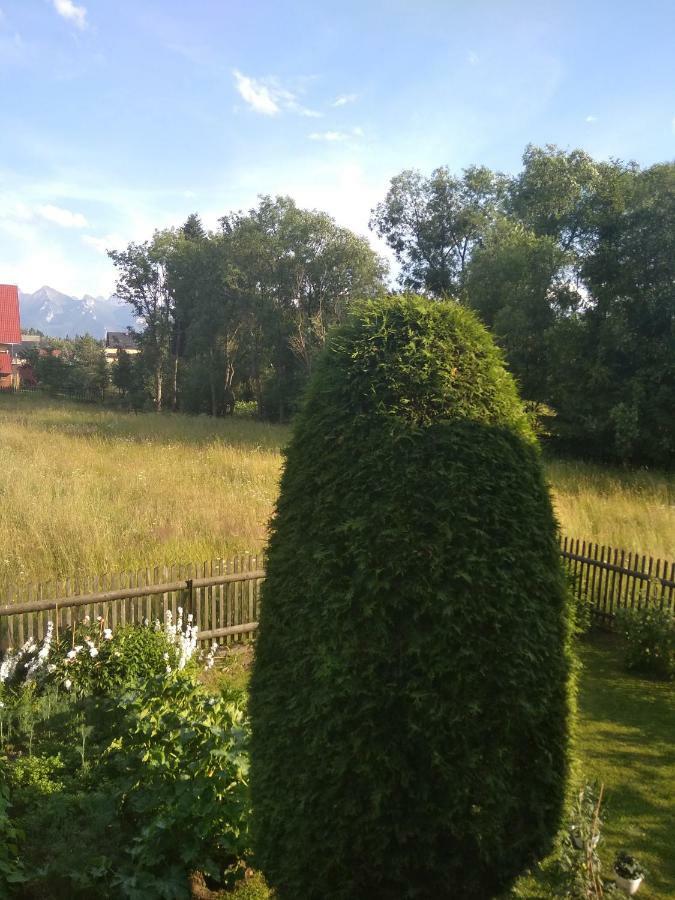 Apartament Widok Czarna Gora Exterior photo